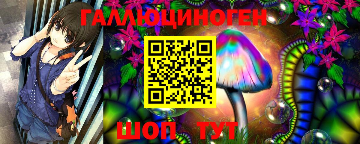 Соль-Илецк  Псилоцибиновые грибы GOLDEN TEACHER  Галлюциногенные грибы Psilocybe  Вход с VPN 